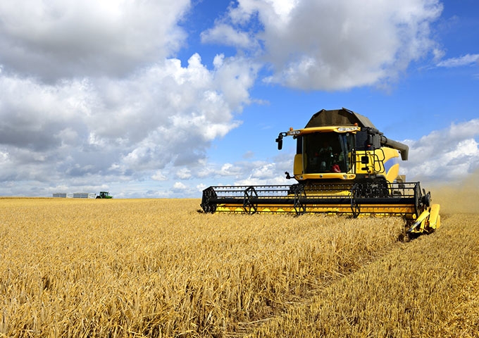 agriculture